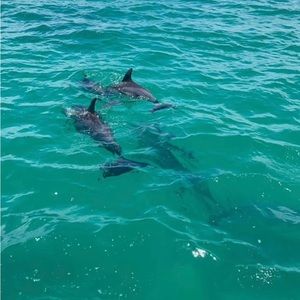 Meet your Posher, Chloe